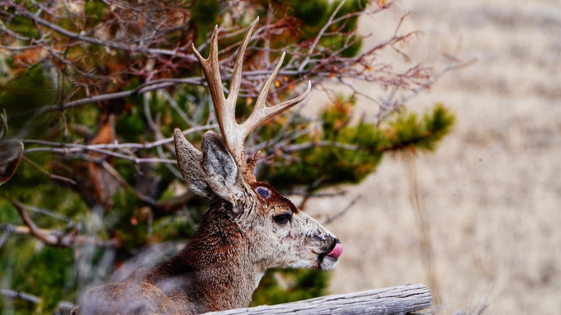 Here’s a couple of my favorite shots!