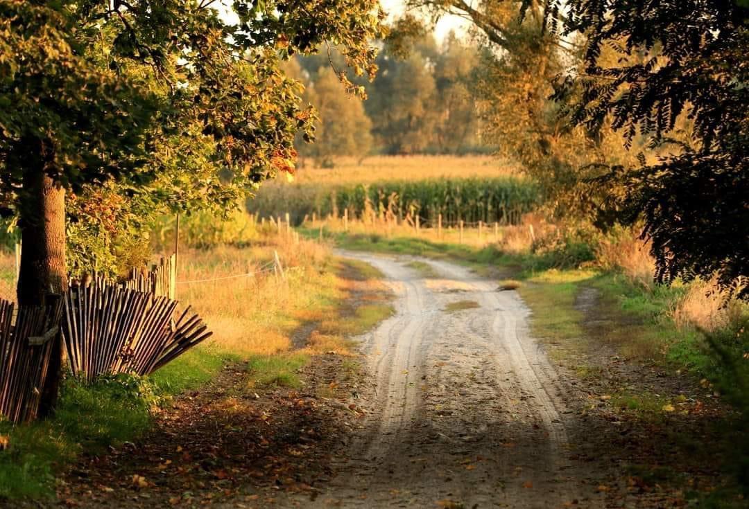 This is Heaven on earth in Poland.