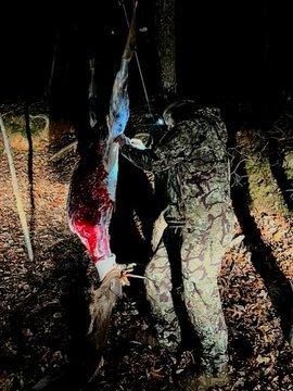 Finished up my last day of deer season with a spike point in the final legal minutes of legal light.