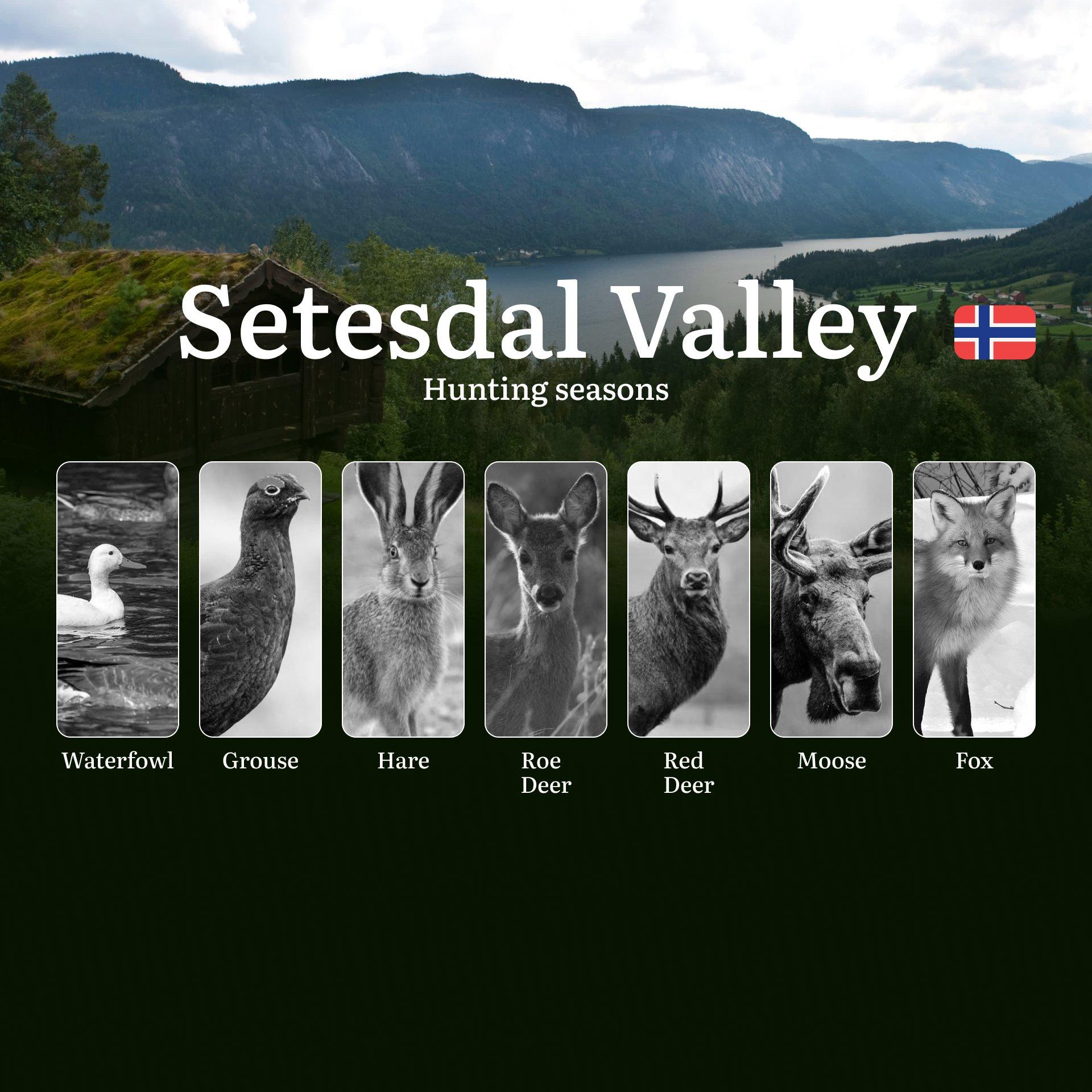 Hunting Periods and Local Rules in Setesdal Valley: Species You Can Hunt Throughout the Year, Seasonal Activity of Game, and the Steps to Get a Legal Hunting License in the Region
