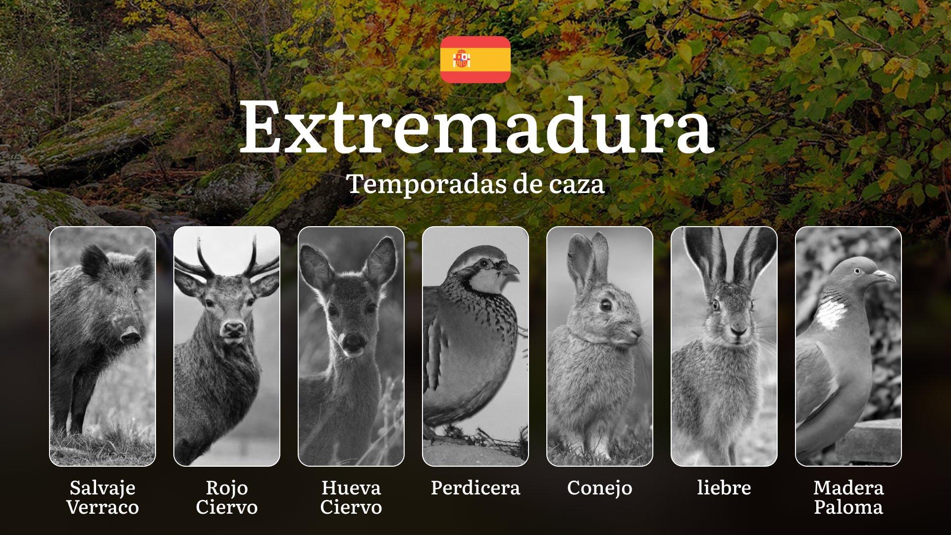 EXTREMADURA Cinegética: Temporadas y períodos de caza, Especies y Requisitos Legales para el Cazador