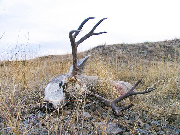 5 AWESOME DIY HUNTS YOU CAN TAKE THIS YEAR