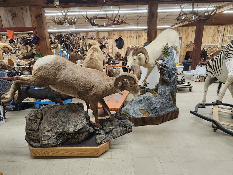 A few shots around the auction  gallery as we continue to get things ready for our spring auction in Maquoketa Iowa March 14-16