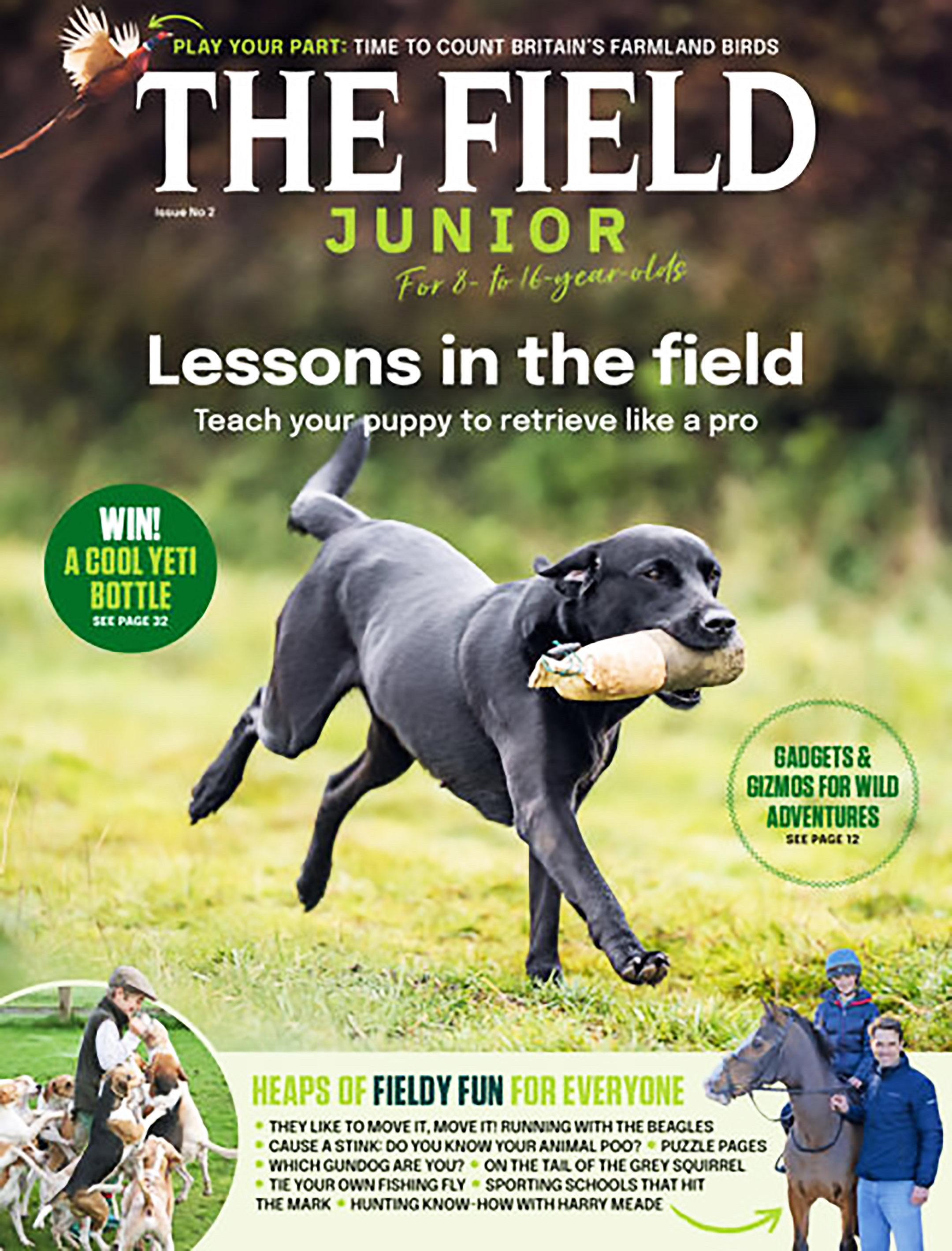 The Field Magazine