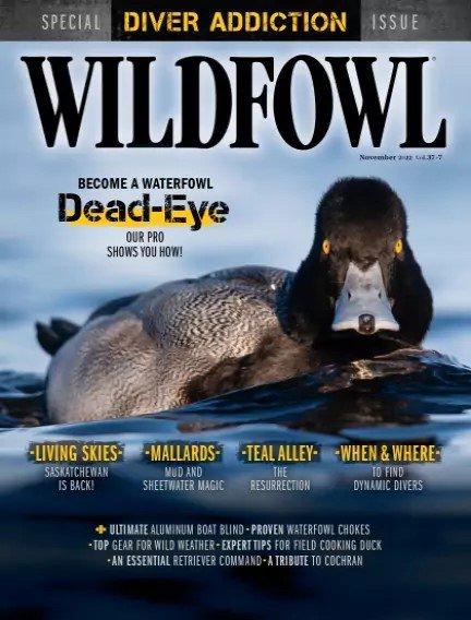 Wildfowl