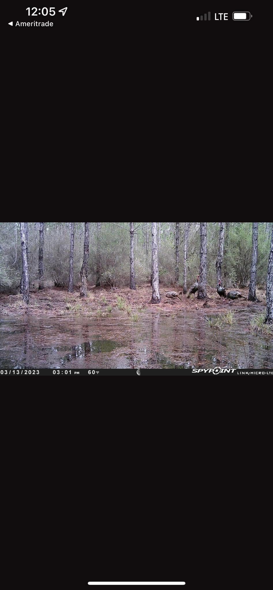 Had an incredible 2023 Osceola turkey season.