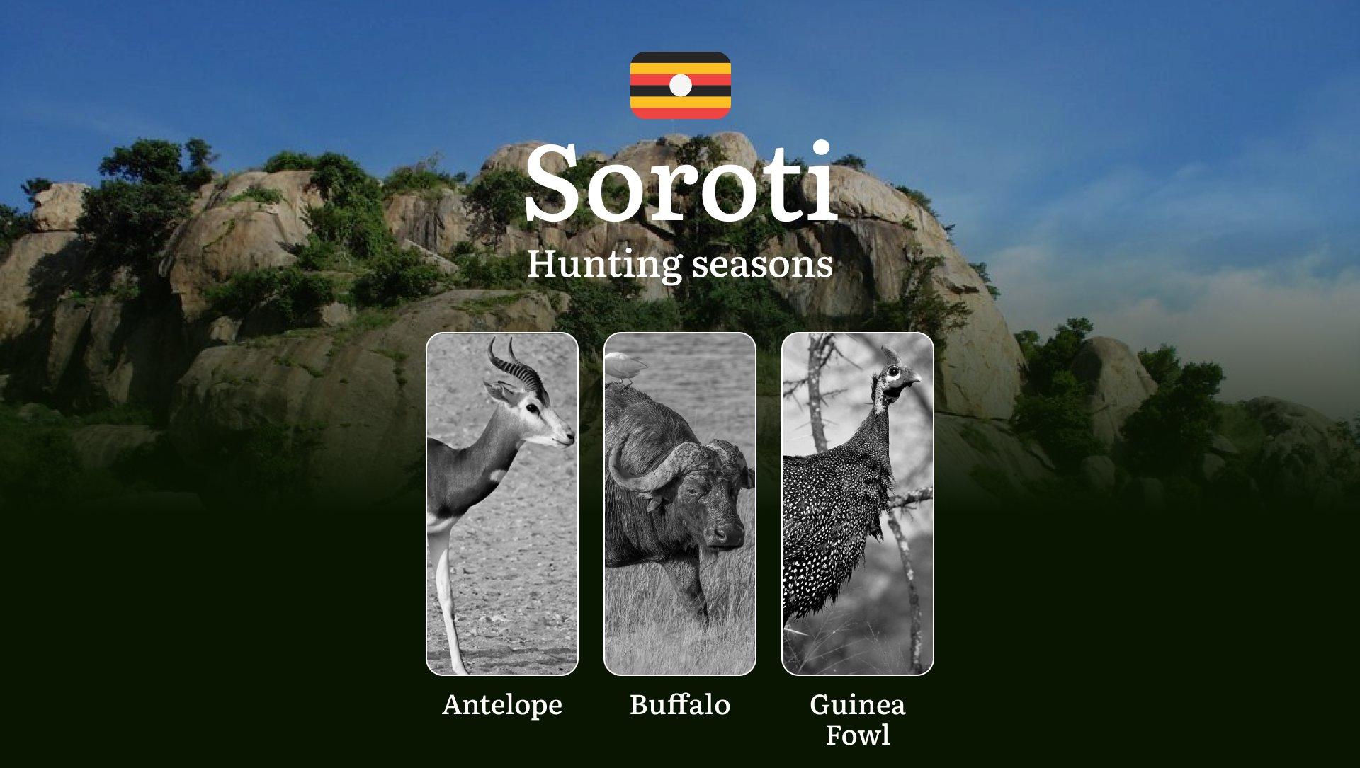 Scheduled Hunting Times in Soroti: Area Regulations, Steps to Obtain a Hunting License, Sanctions for Breaching Hunting Periods, Tips on Timing, Gear Selection, and Hunting Methods 