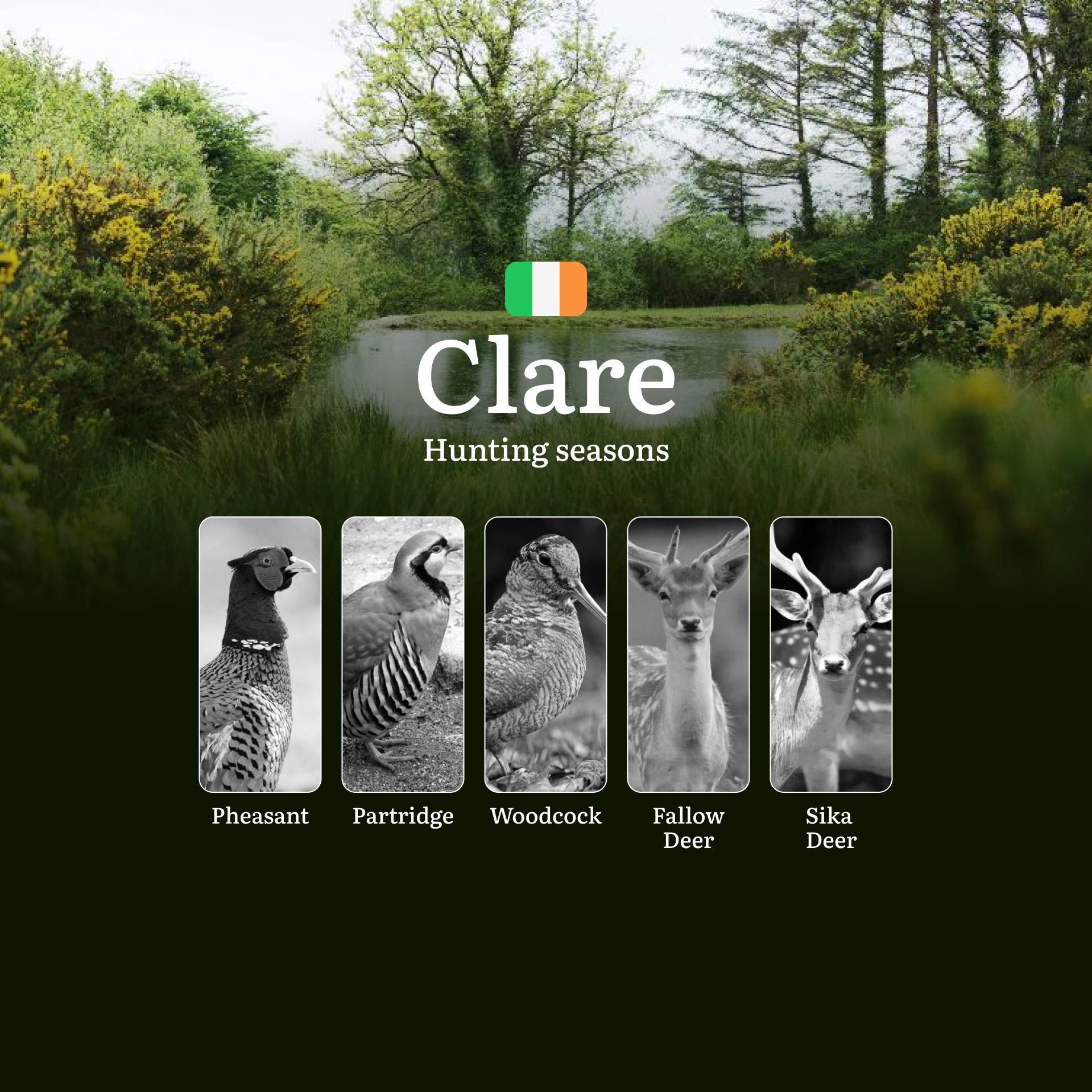 The Call of the Wild: Uncovering Hunting Calendar, Seasons and Strategies in County CLARE’S Countryside