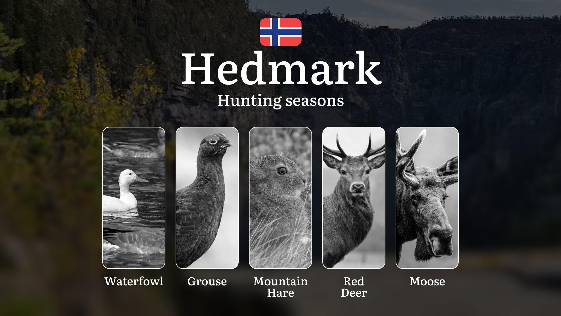Hunting Periods and Permits in Hedmark: A Detailed Look at Game Movement Throughout the Year, Seasonal Limits, and How to Apply for a Hunting License in the Area