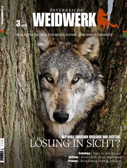 WEIDWERK
