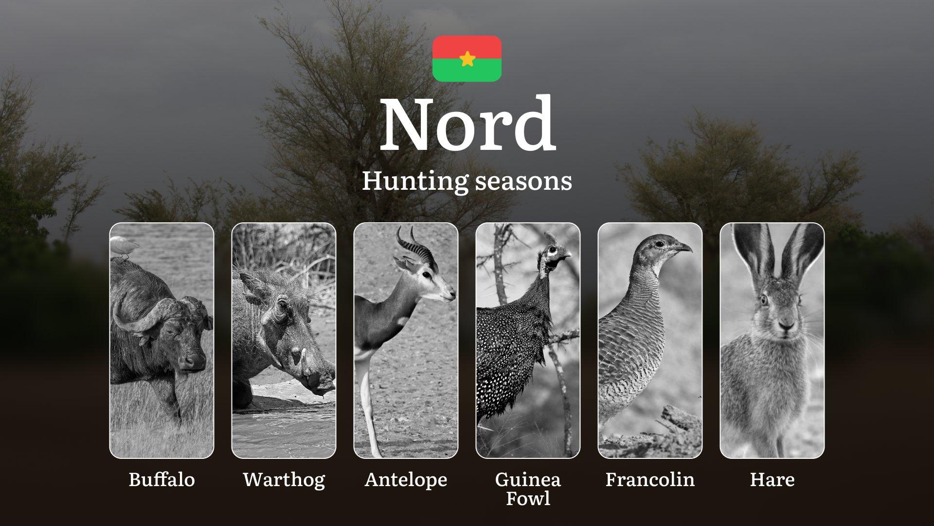 Hunting Seasons in NORD: Key Dates, General Rules, Obtaining Hunting Licenses, Restrictions and Protected Species