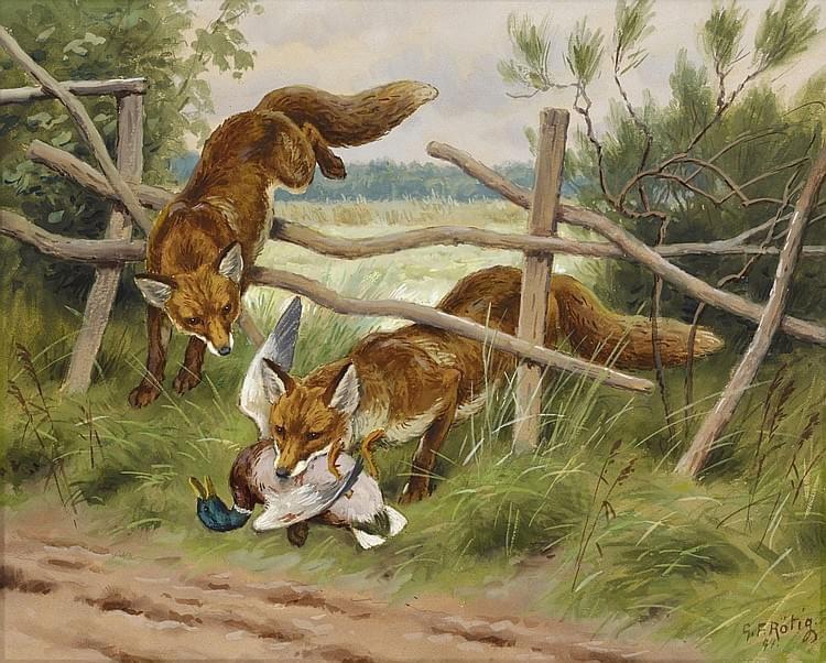 Wildlife art by Georges Frederic Rotig  (1873-1961)