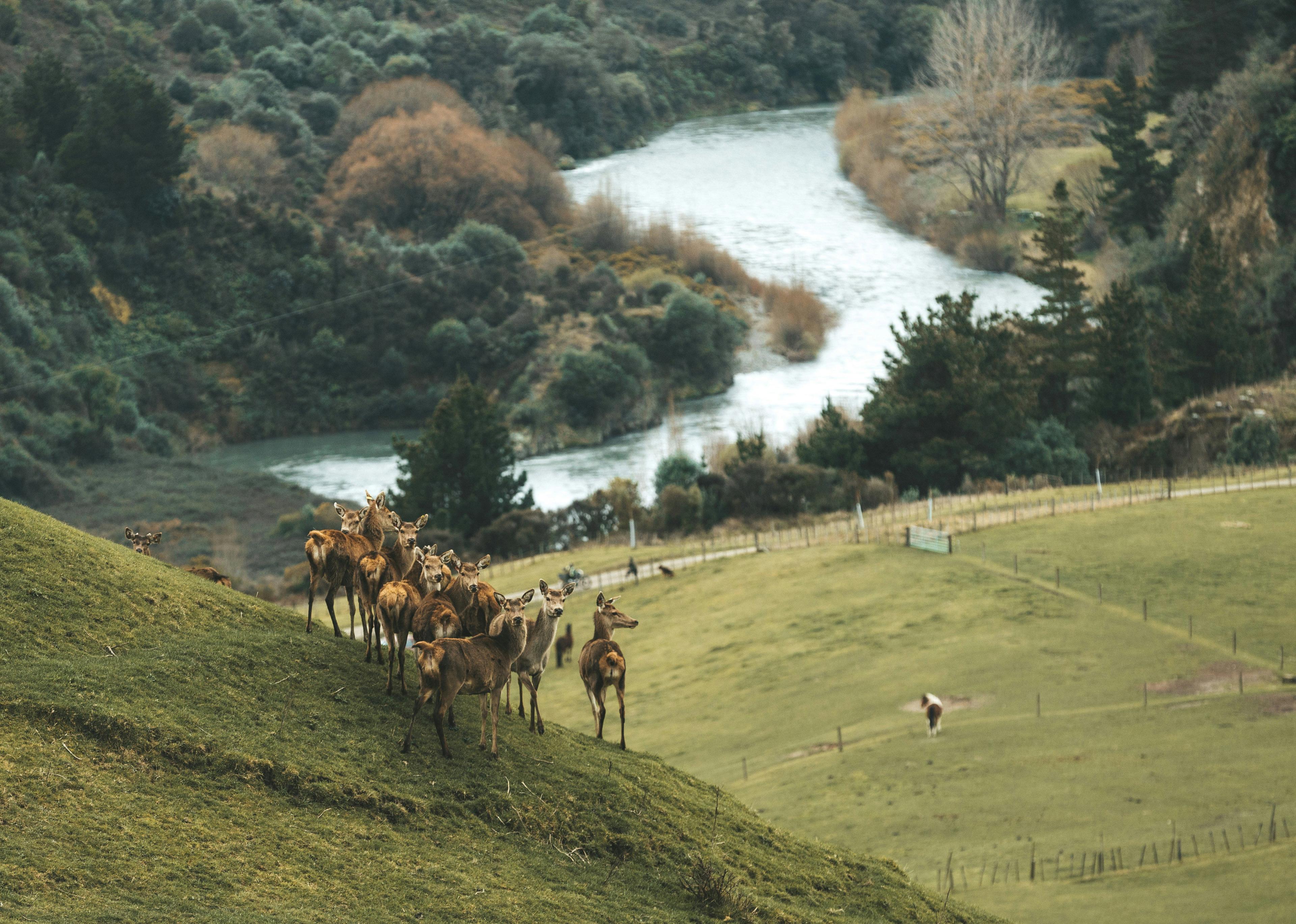 Wellington hunting access points and essential guidelines, geographical and natural features of the region