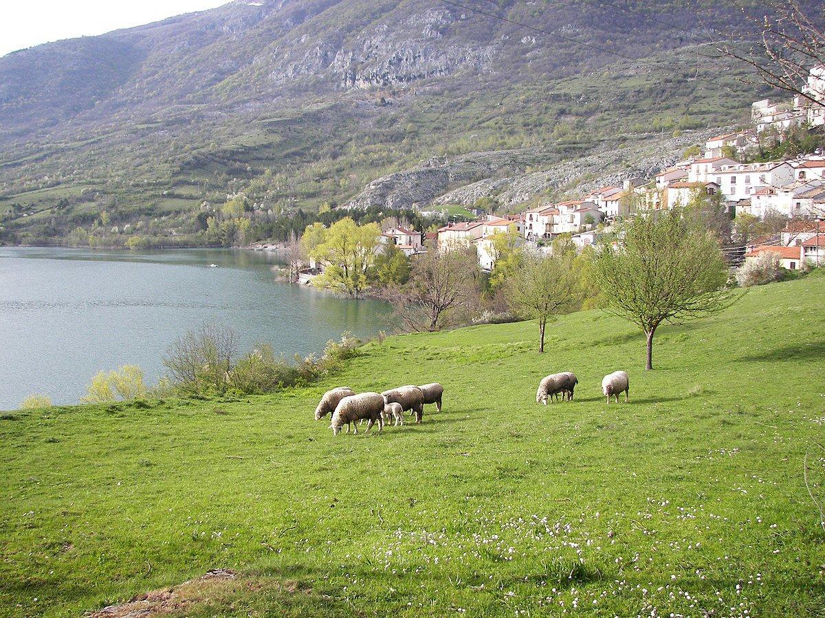 Caccia ai Confini del Parco Nazionale d’Abruzzo: Tradizione e Conservazione a Braccetto