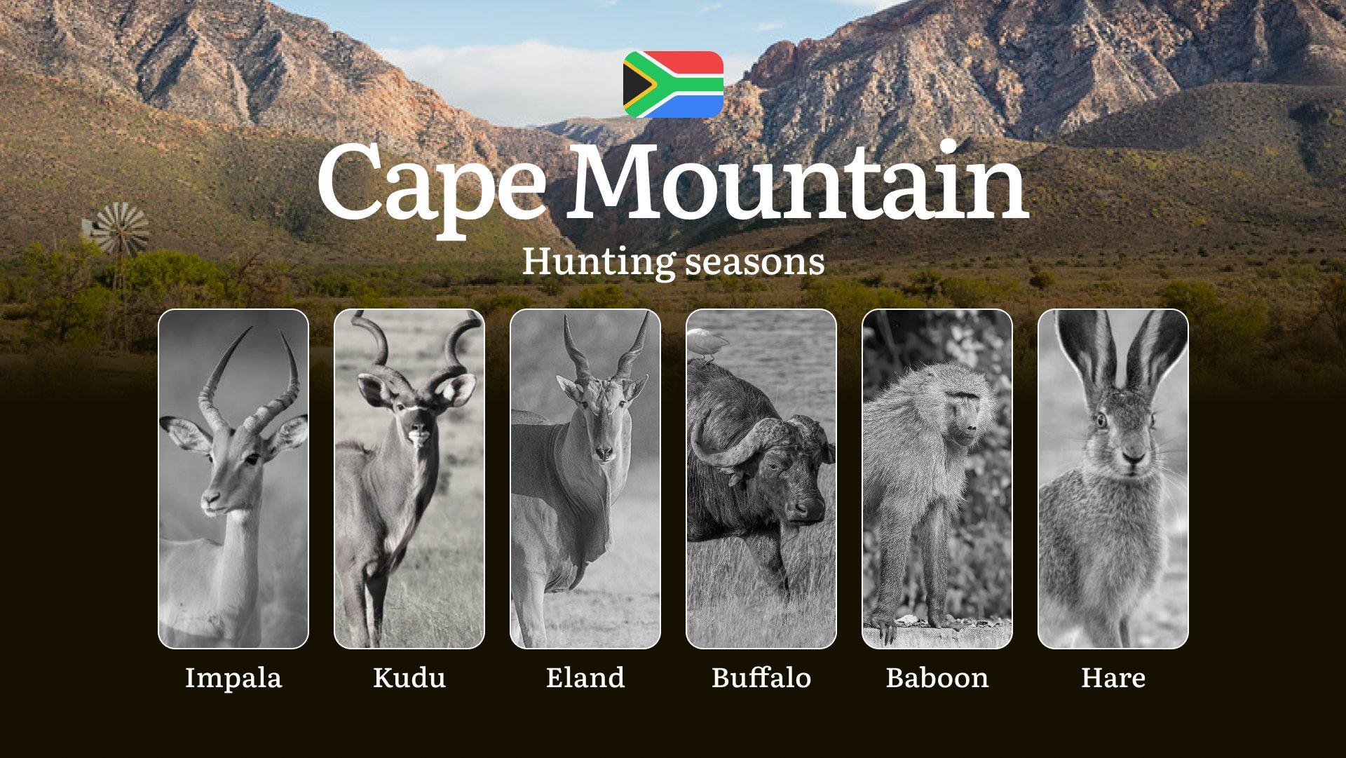 Time of Hunting in South Africa, The Cape Mountain Region Guide: Seasonal Hunting Features, Penalties and Consequences, Tips for Choosing the Right Time