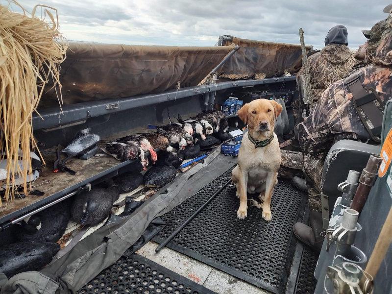 Today we had Scott and FREINDS come down from upstate to try Thier hand at sea duck hunting.
