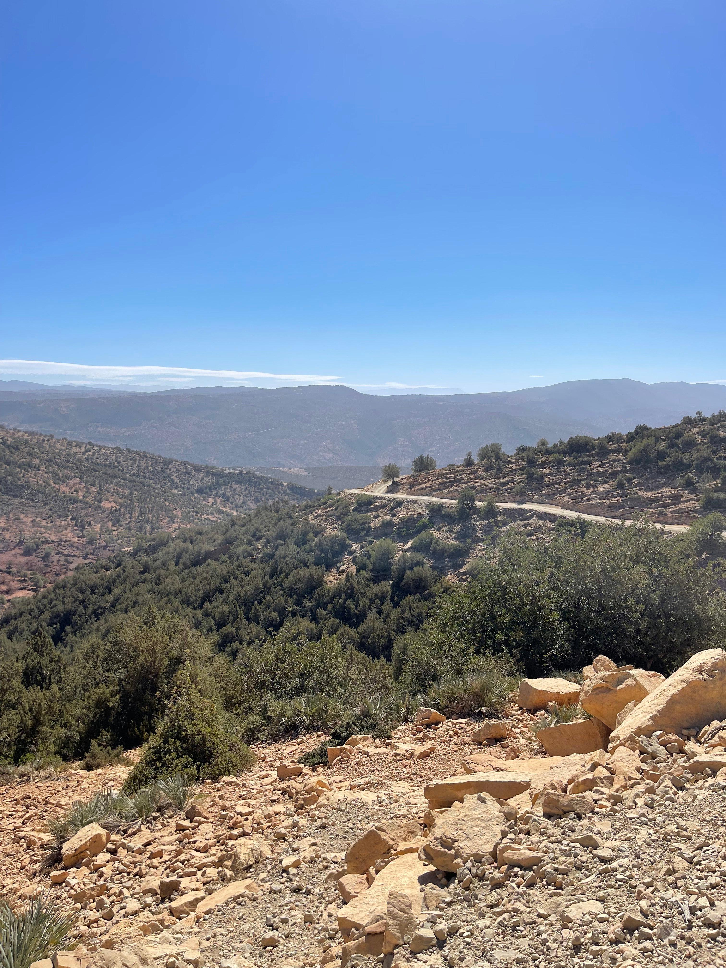 Chasse dans l'Atlas Marocain : Guide Pratique pour Chasseurs Avertis
