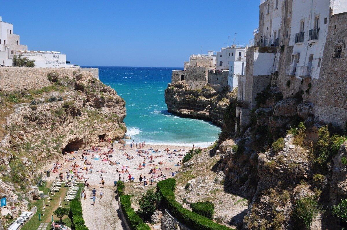 Caccia in Puglia: Dove la Macchia Mediterranea Incontra l’Avventura Venatoria