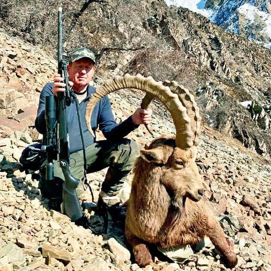 BUKHARAN IBEX AND WILD BOAR HUNTING IN TAJIKISTAN