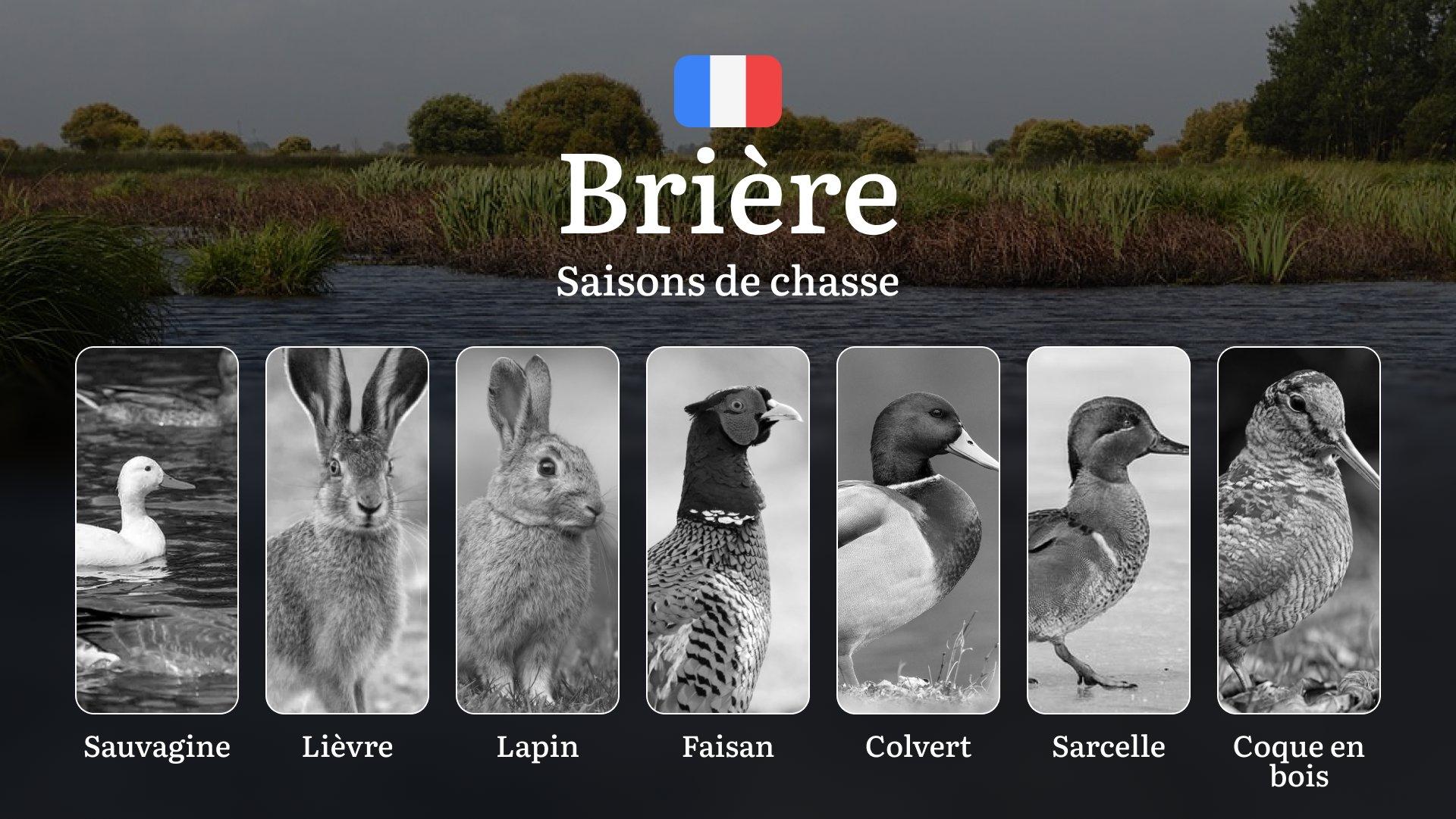 Saisons de chasse en BRIÈRE: Les dates d'ouverture/fermeture, l'obtention des permis, les règles à respecter