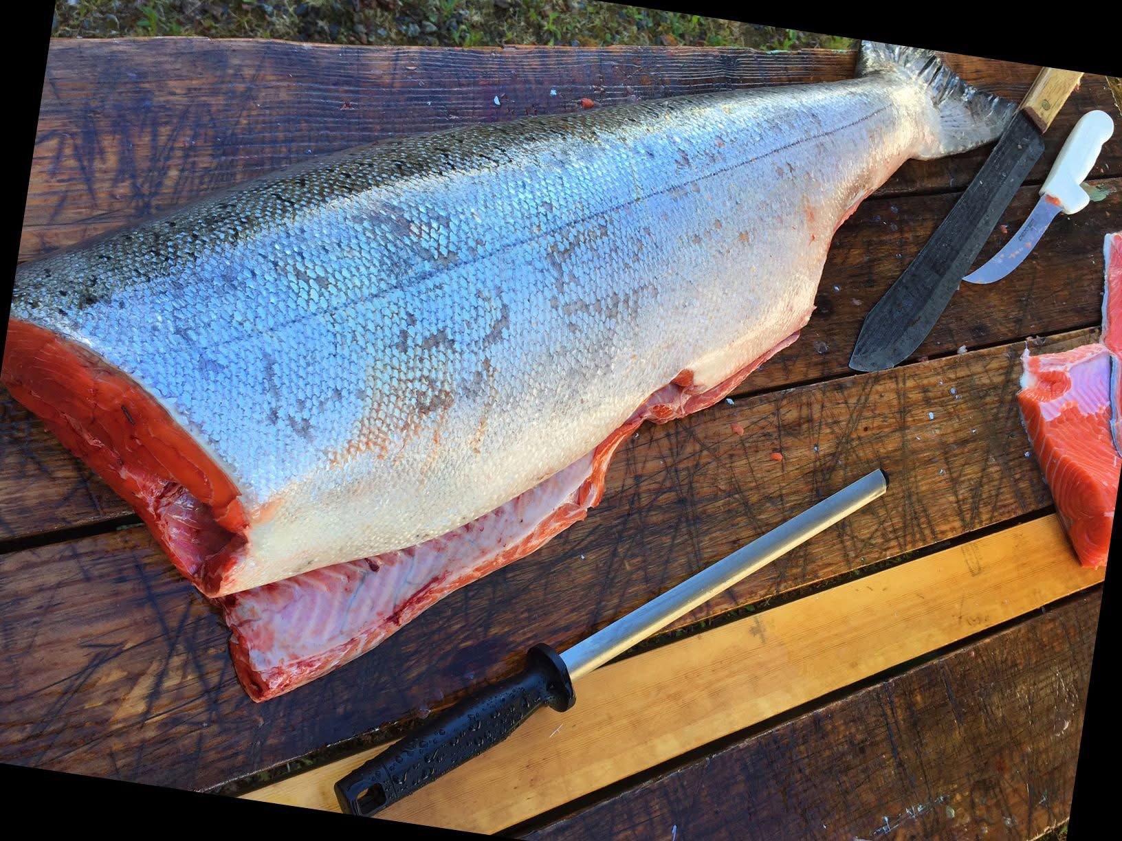 Living in Alaska, another part of our efforts to be self-sufficient is living off the land as much as possible.