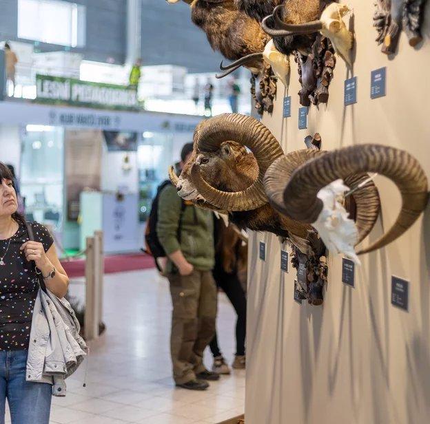 🇨🇿 National Gamekeeping Show 2025