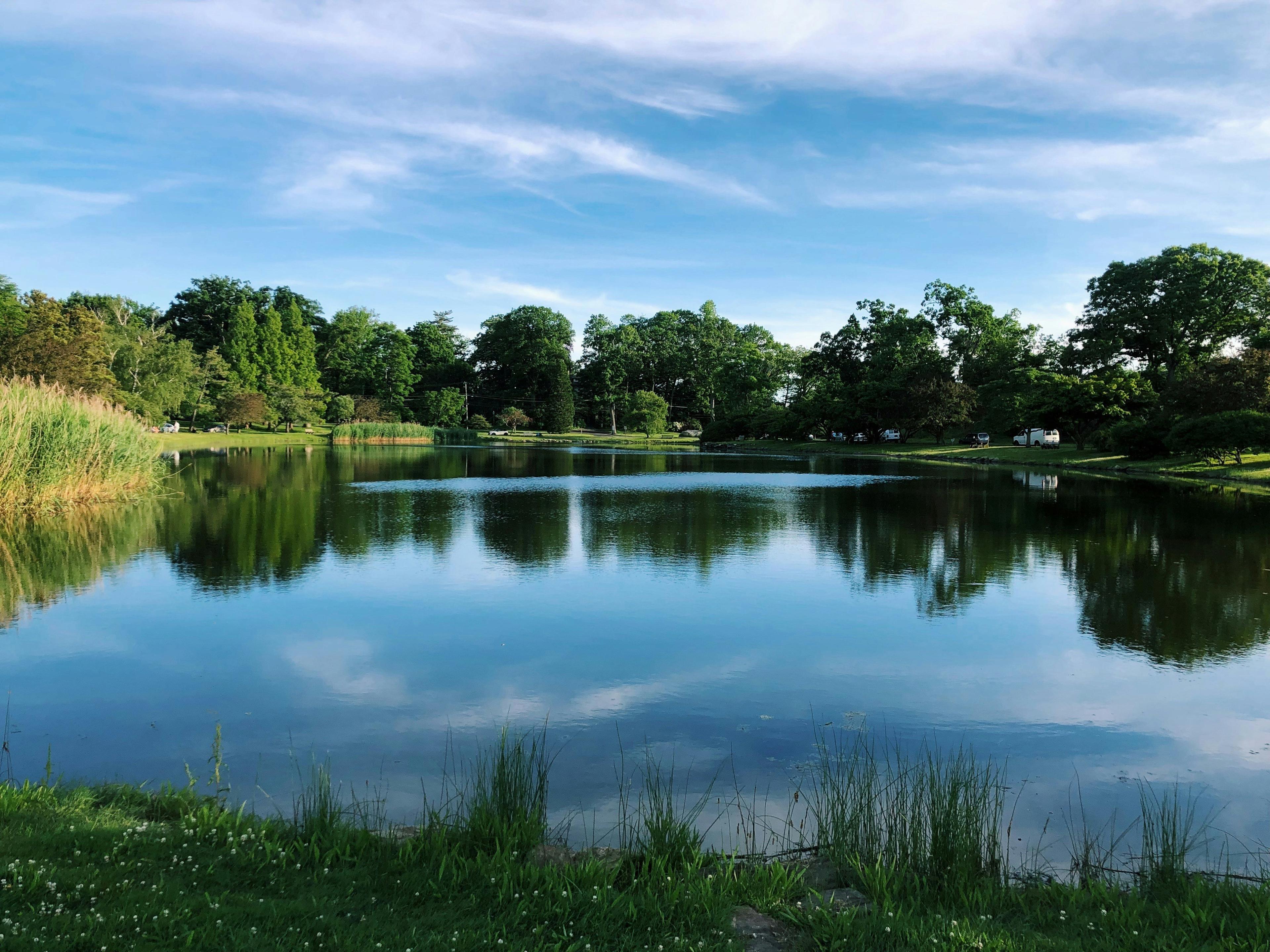 Michigan Public Hunting Lands: Demographics, Clubs, Laws and Hunting Seasons.