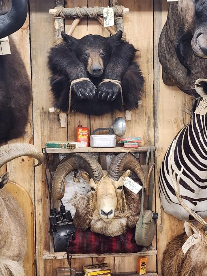 A few shots around the auction  gallery as we continue to get things ready for our spring auction in Maquoketa Iowa March 14-16