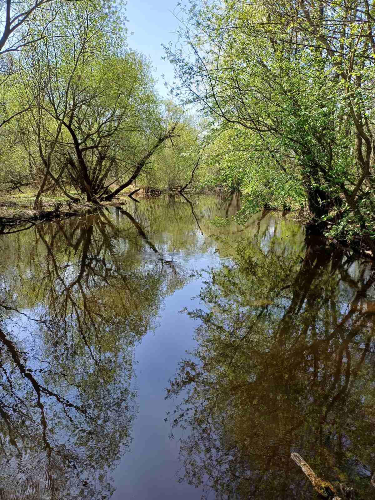 Березинский заповедник