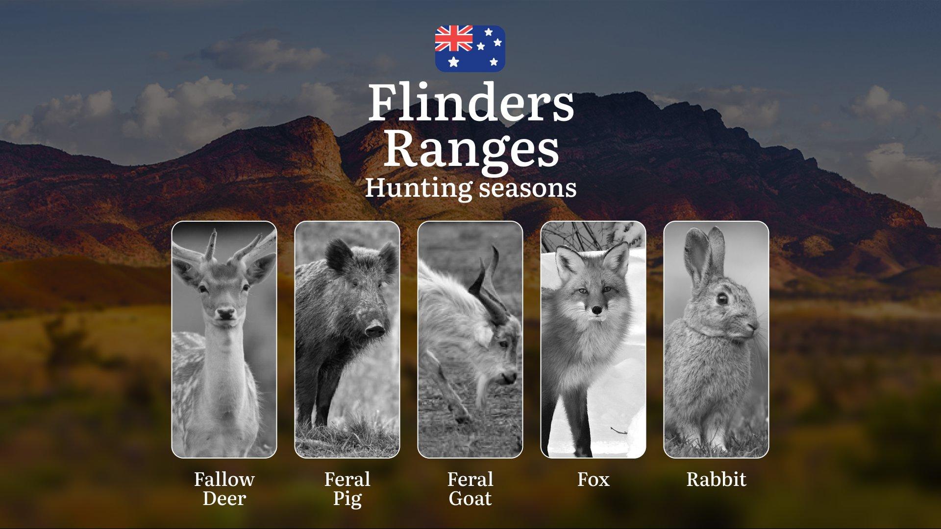 Flinders Ranges Hunting Calendar: When the Ancient Landscape Calls - Goats, Deer and Mountain Game Pursuits