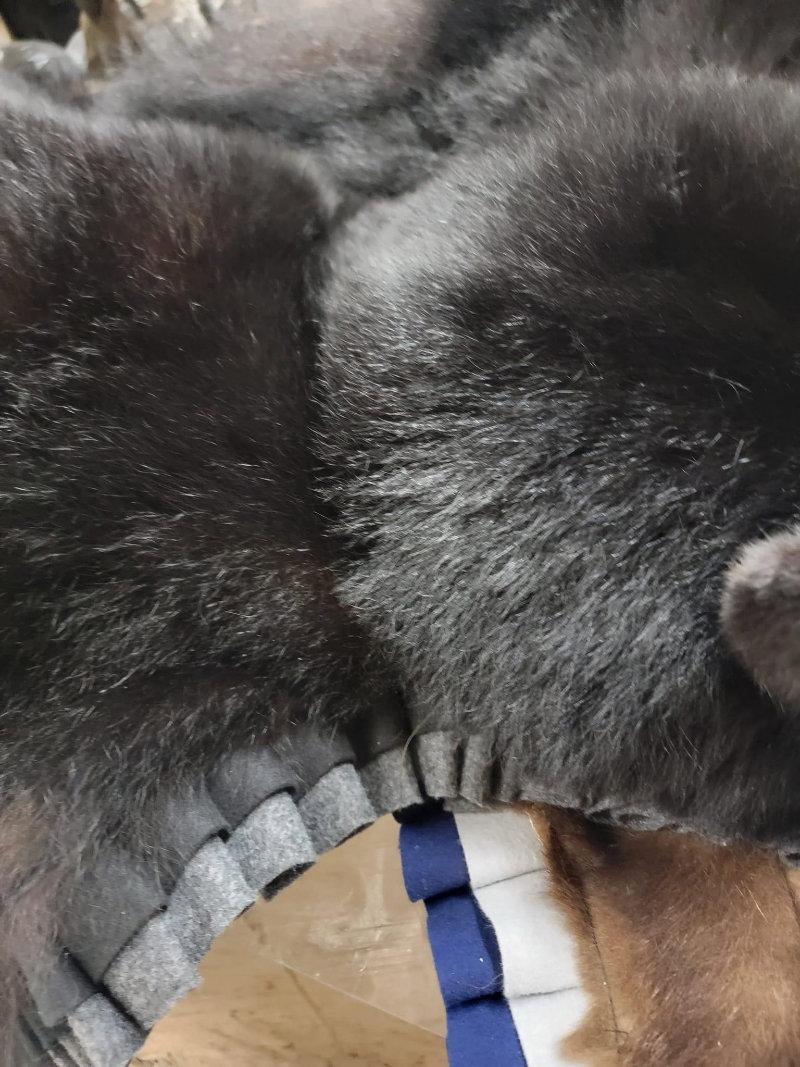 Pretty closed mouth sow.