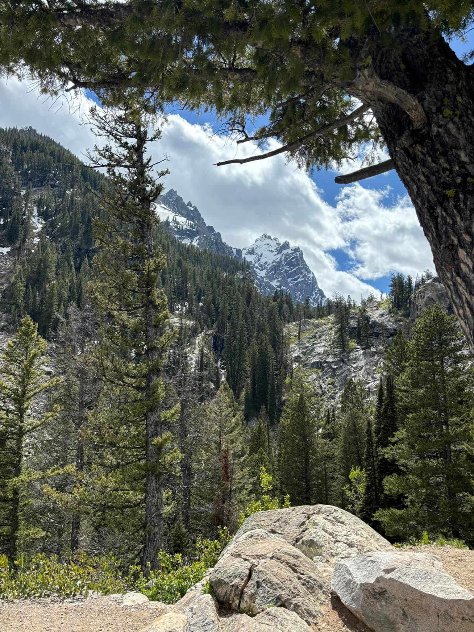 A few pictures from our last week’s trip to Grand Teton and Yellowstone