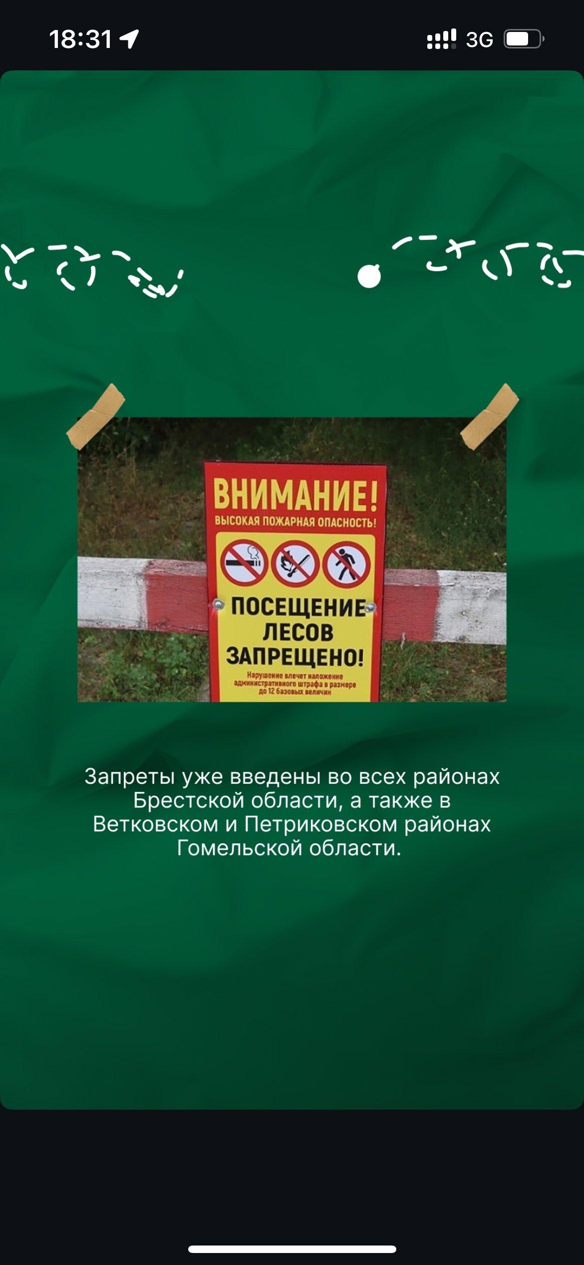Карта запретов и ограничений на посещение лесов в районах Республики Беларусь