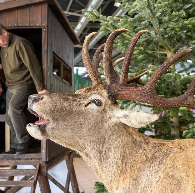 🇨🇿 National Gamekeeping Show 2025