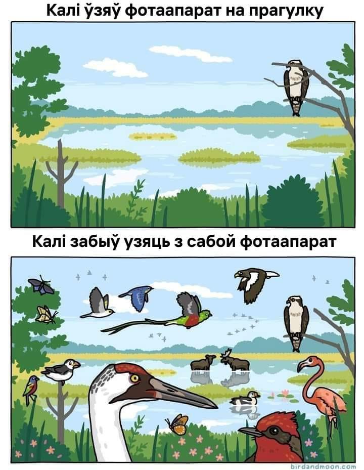 А ў цябе так бывала?