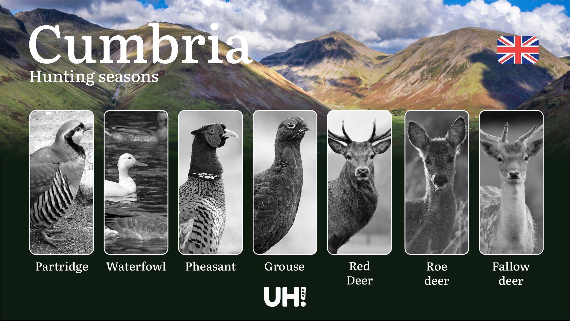 Cumbria’s Hunting Calendar, Protected Species, Licenses, Fines, and Expert Tips:  Seasons, Legal Rules, Game Locations, Firearm Permits, and Responsible Wildlife Practices
