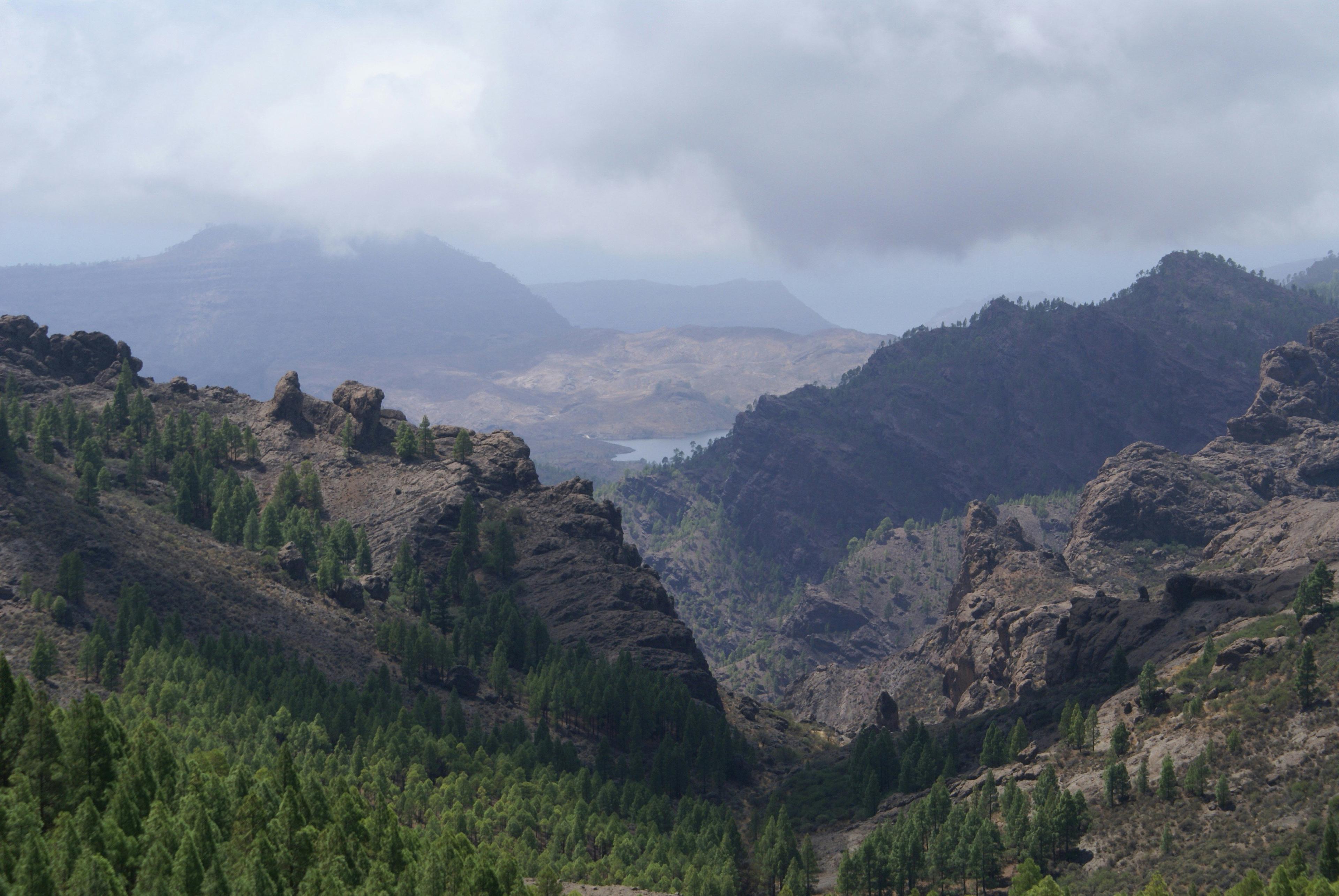 Harari Region Hunting: A Deep Dive into Geography, Local  Legislation and Time-Honored Traditions