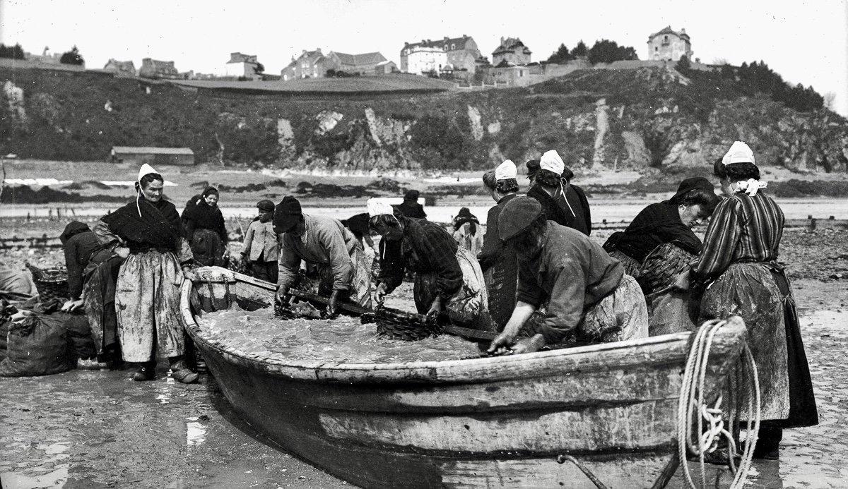 Oyster hunting and sorting in 19th-century France was an essential maritime and culinary practice that reflected both the country’s deep gastronomic traditions and the evolving dynamics of coastal economies.