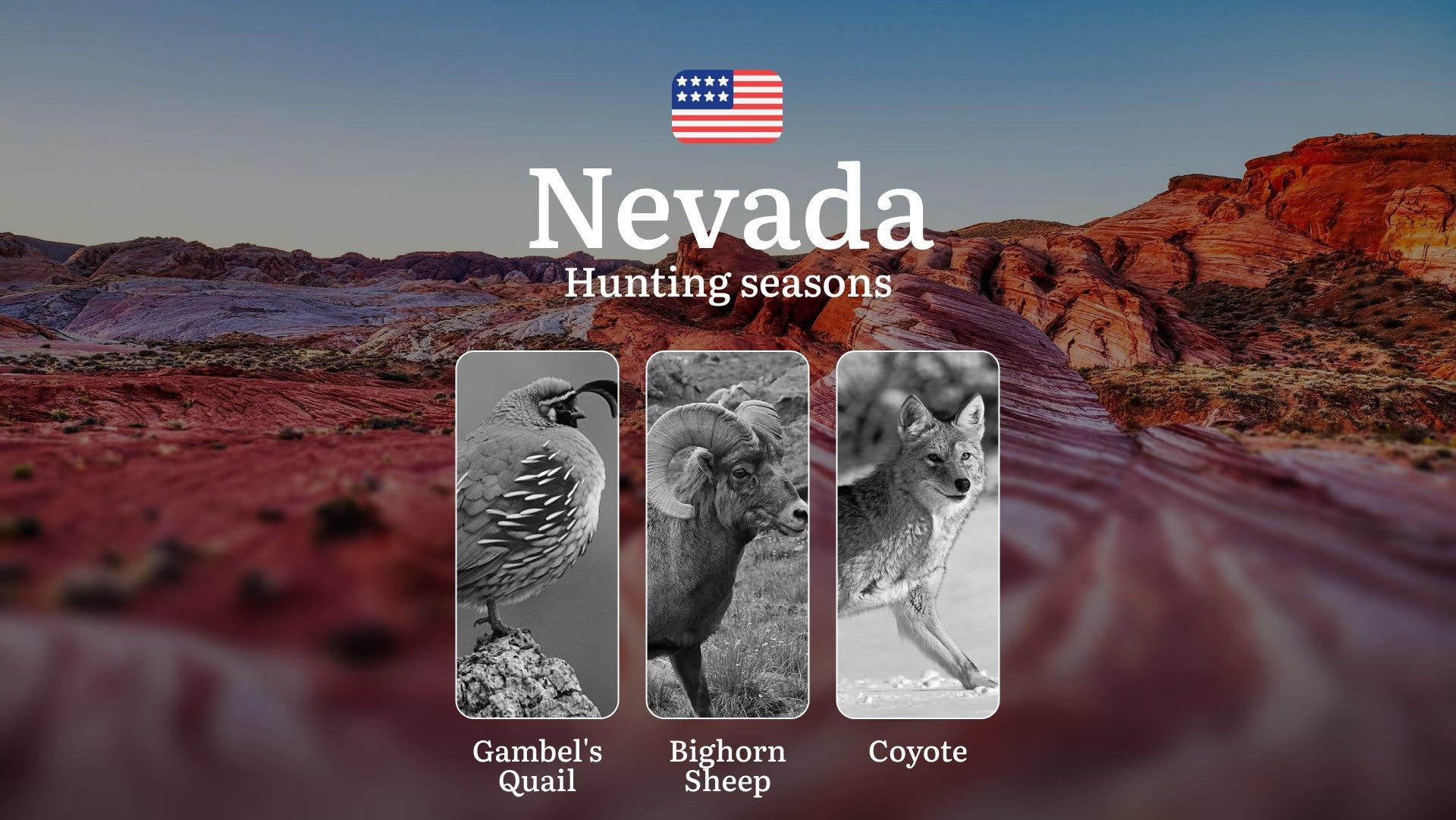 Hunting seasons in the Nevada Desert: Rules, Dates, and Hunting Dates, Hunting Restrictions and Prohibitions 