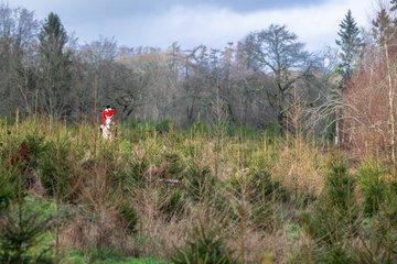 #hound #hunting #foxhound #houndhunting #country