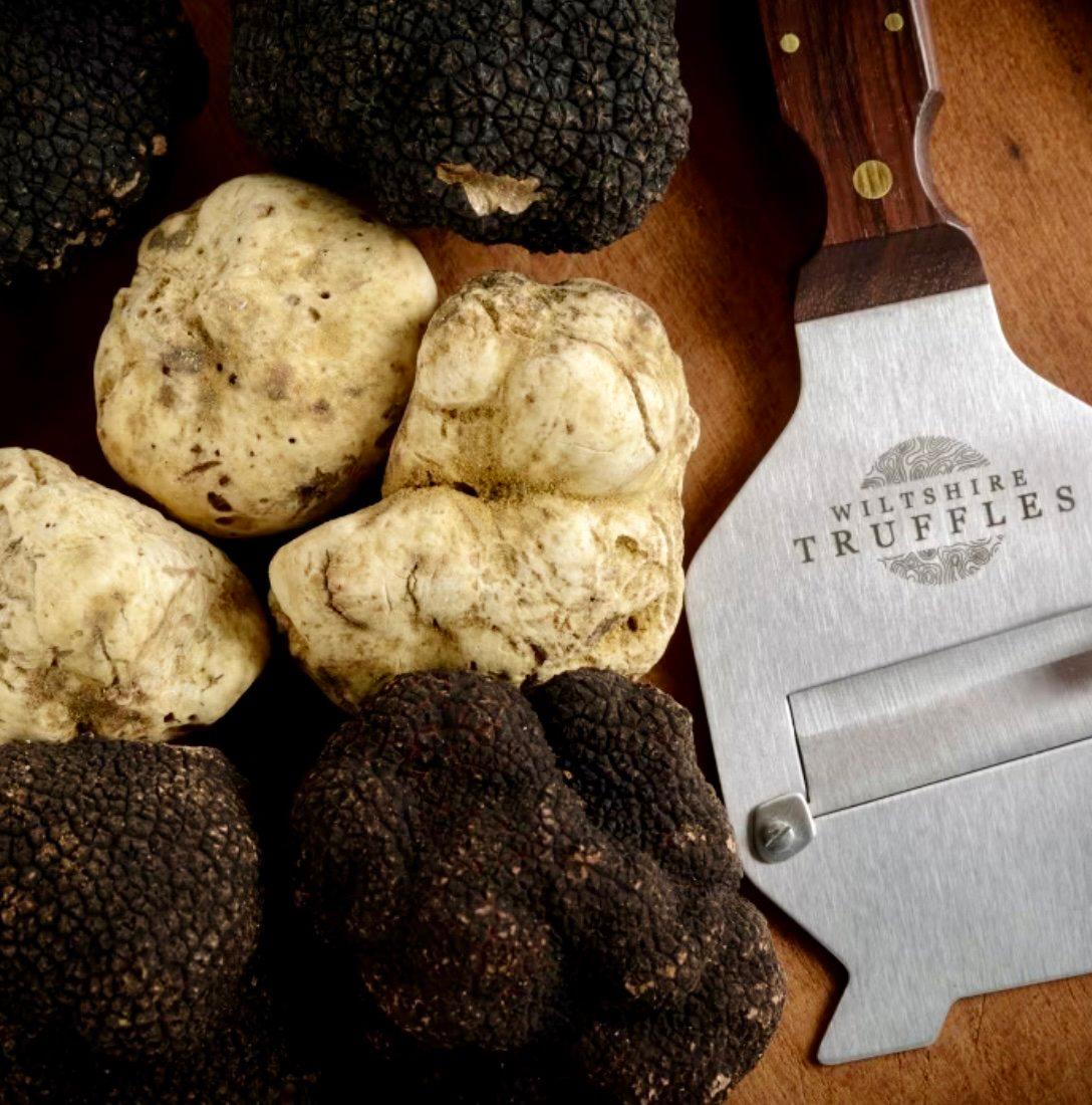 Labrodors – great hunters, even if they hunt mushrooms.