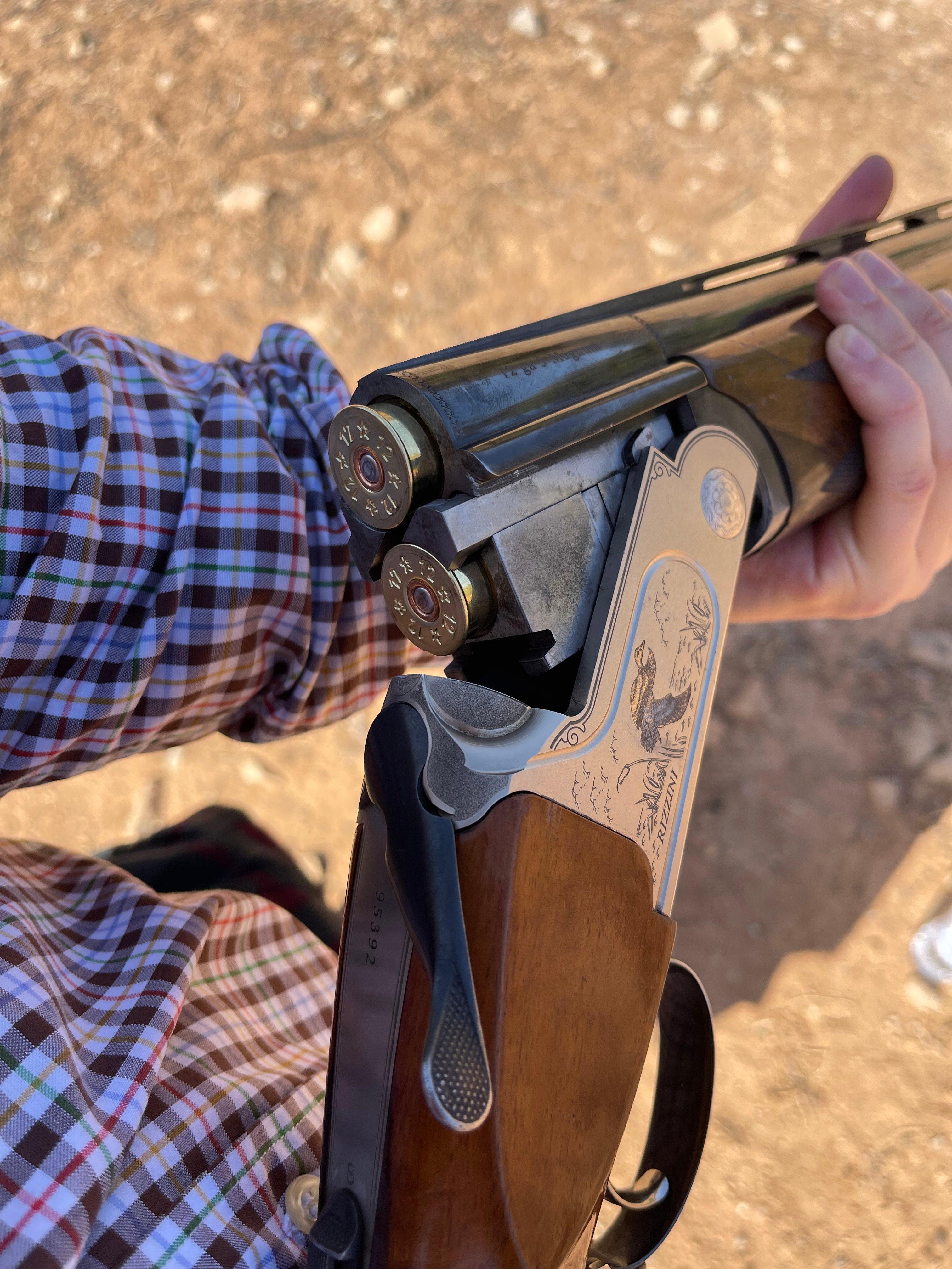 Pheasant Hunting Methods in Morocco: Field-Tested Techniques for Real Hunters 🦚