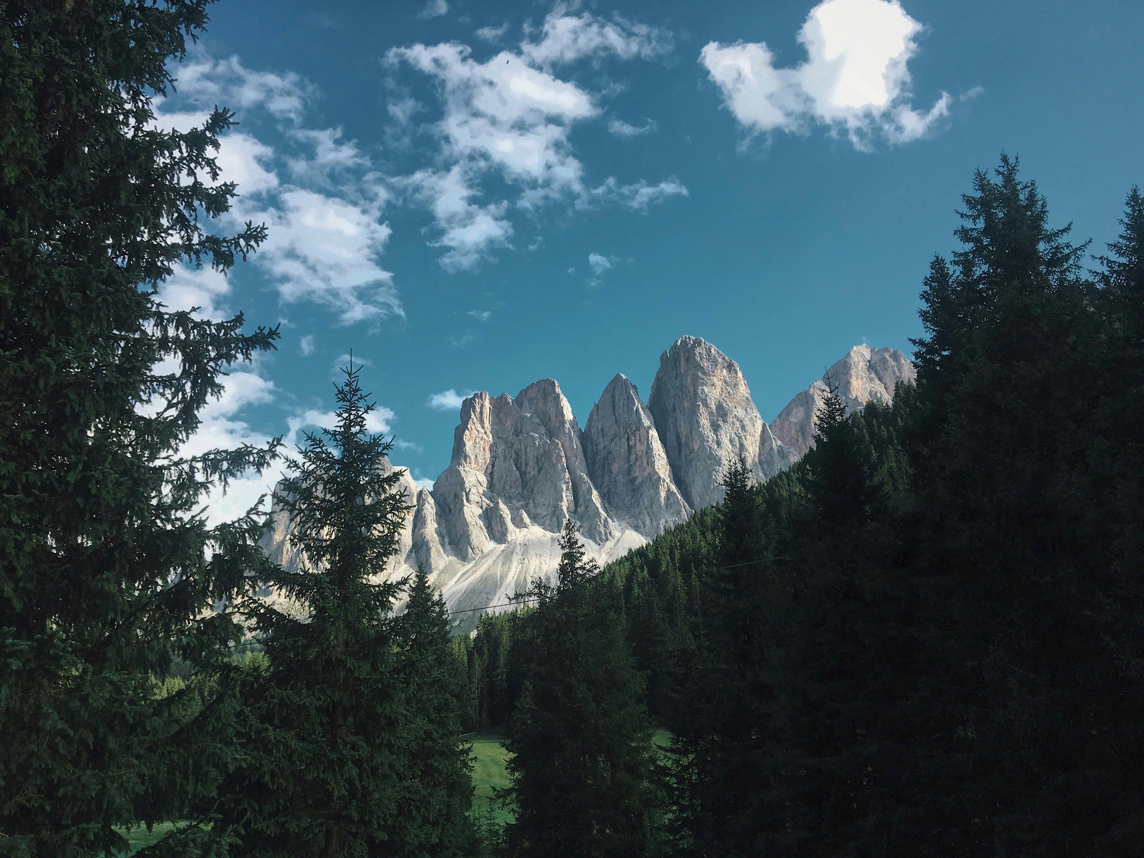 Caccia nella Foresta Umbra: Tra Faggi Seccoli e Tradizioni Garganiche