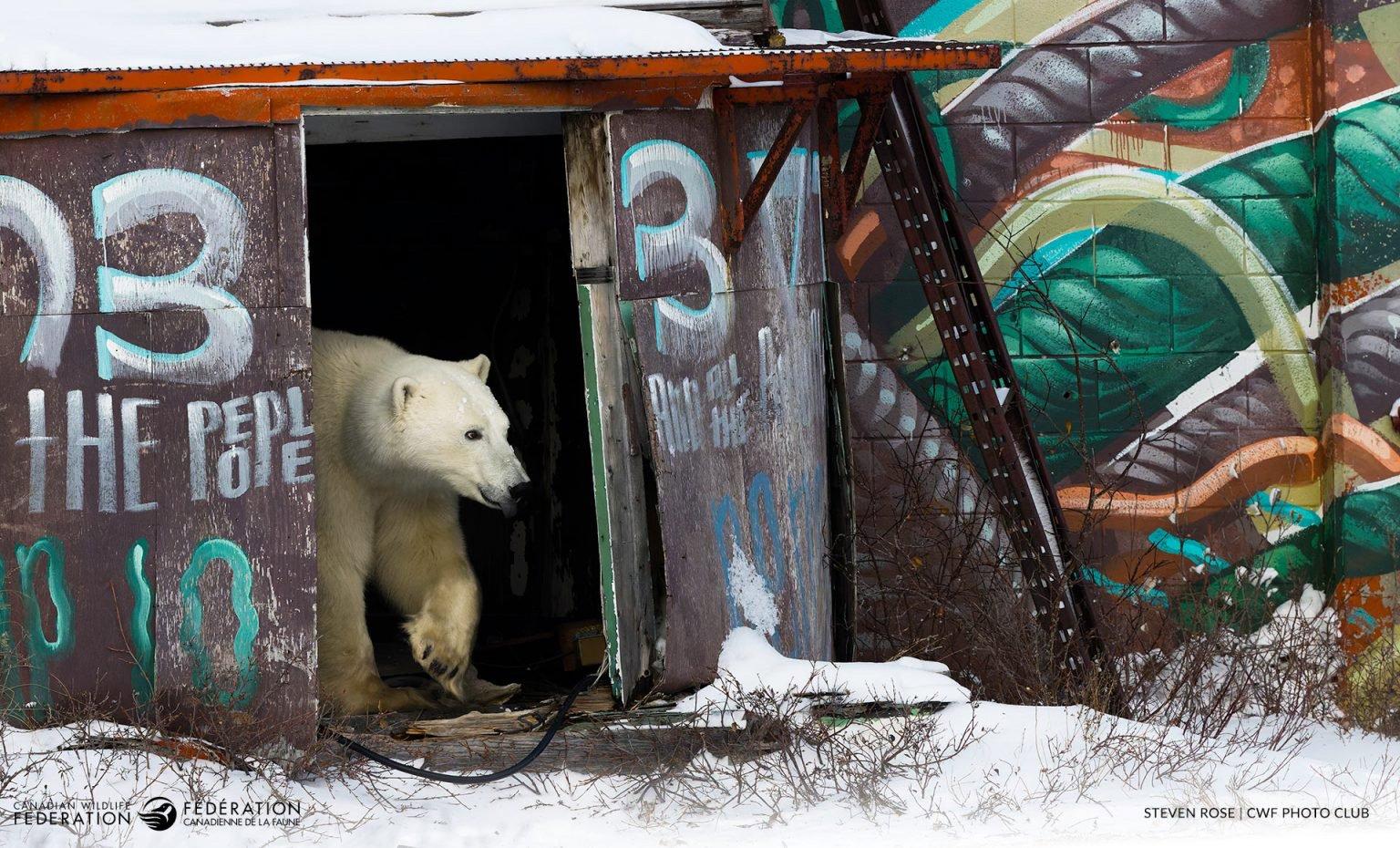 Winners of the 2024 Reflections of Nature Photo Contest.