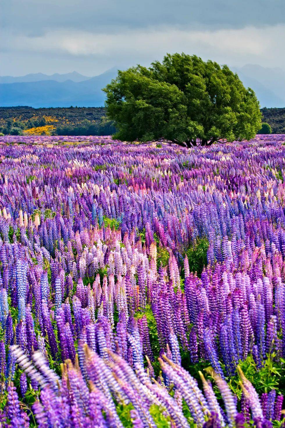 Fiordland National Park, New Zealand