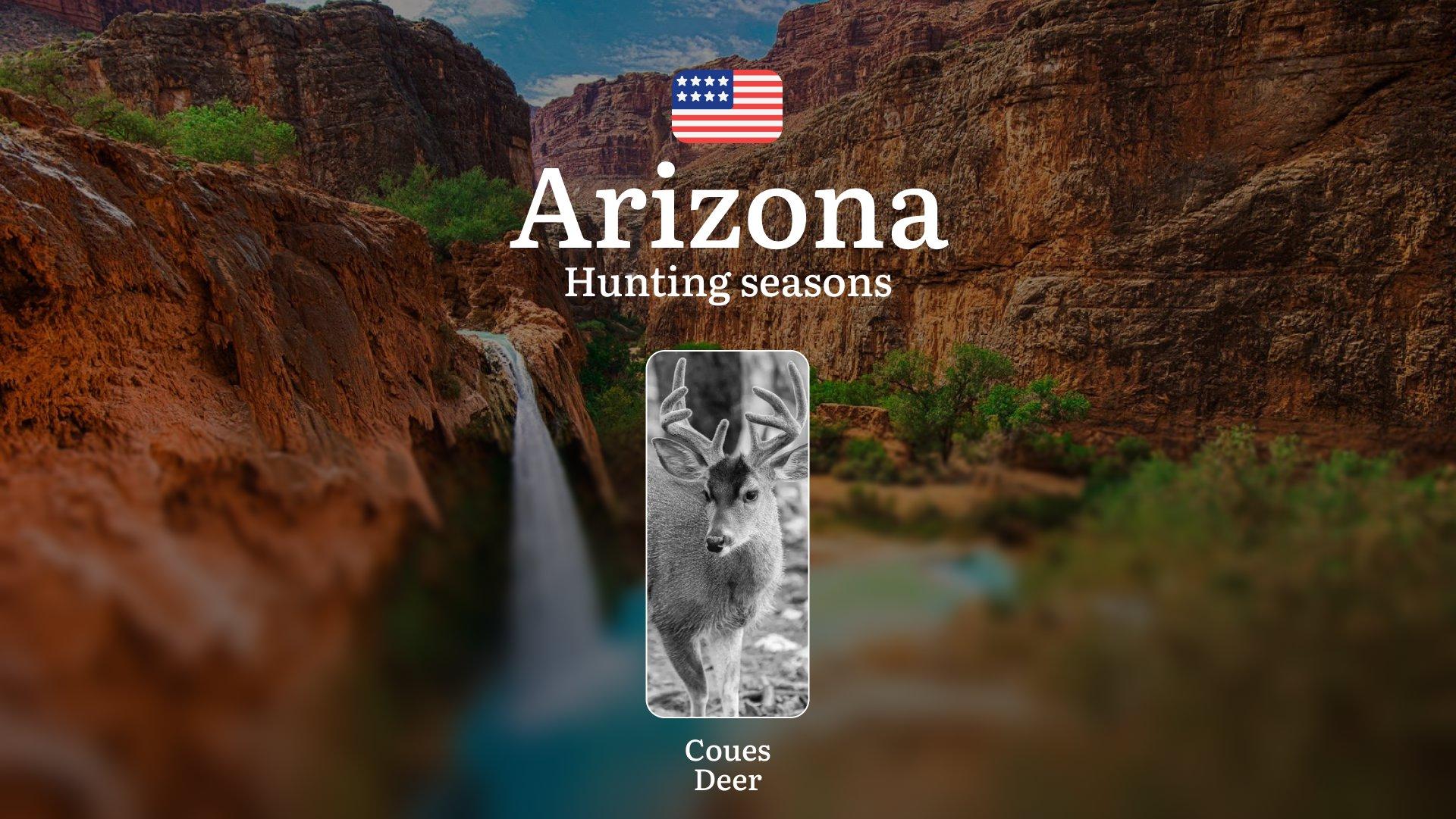 Hunting Seasons in Arizona for Coues Deer: Dates, Licenses, Rules, and Tactics, Seasonal Features, Penalties for Violating Hunting
