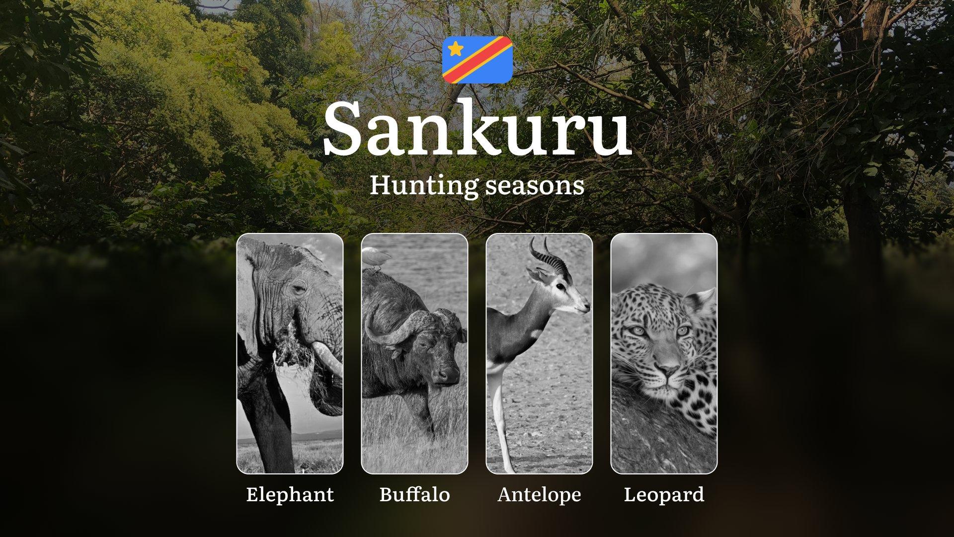 Hunting Calendar for Sankuru (DRC): Regional Hunting Rules, Licensing Procedures, Off-Season Violation Penalties, and Strategic Advice on Timing, Equipment, and Techniques 