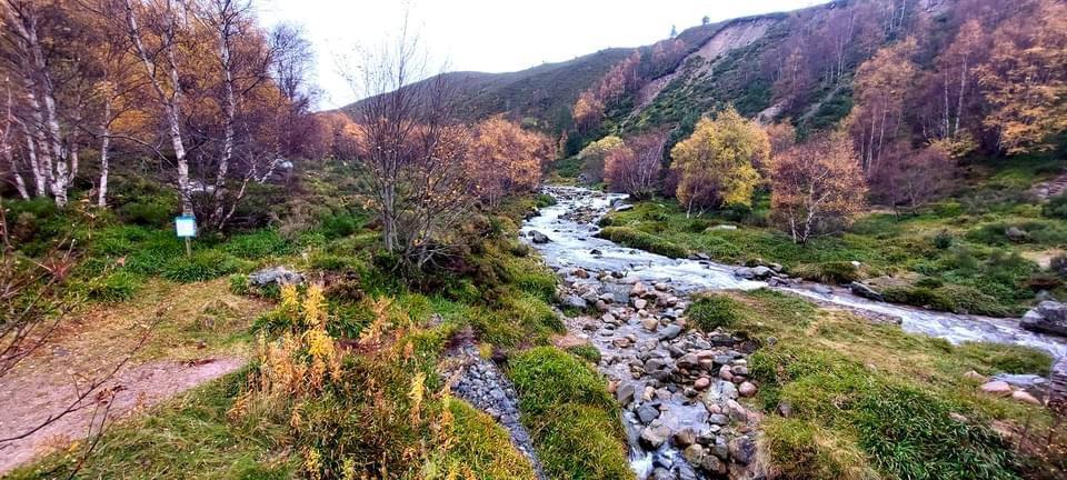 A beautiful day with the Reindeers💚🌲🦌 — at Cairngorm Mountains