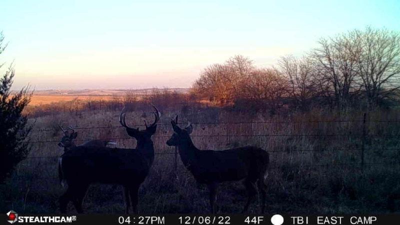 “Well, buddies, we have almost survived the 1st shotgun season.”