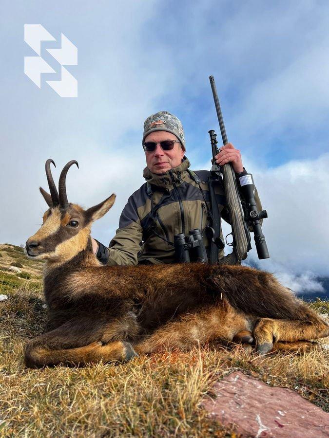 Spain: ibex, chamois, deer, birds